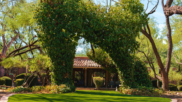 Images Purchase Green Artificial Grass