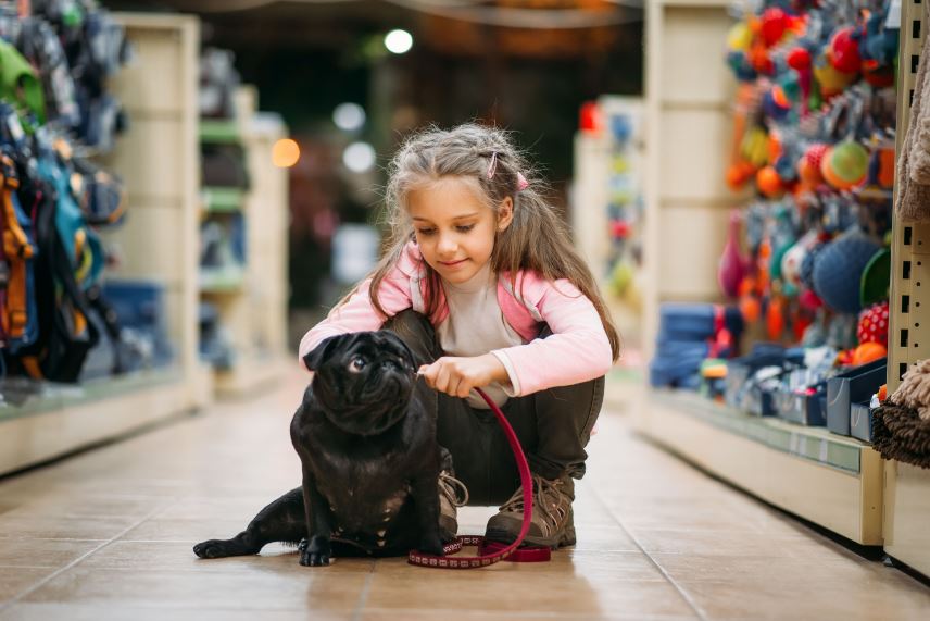 dog supply warehouse