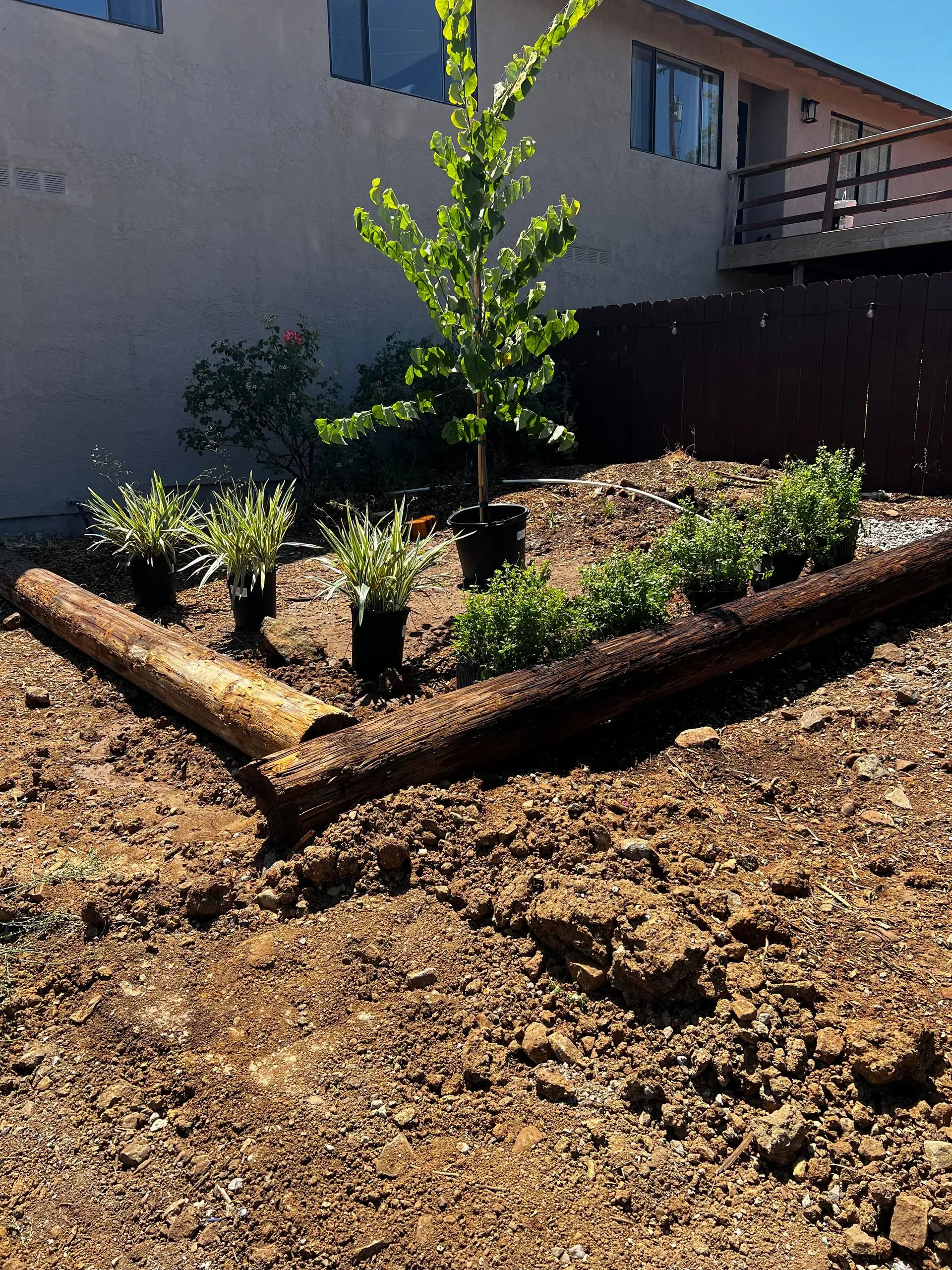 Dave Suda Landscape Image