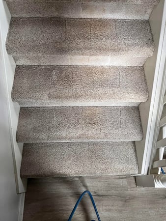 Images Brown and Sons Cleaning Company