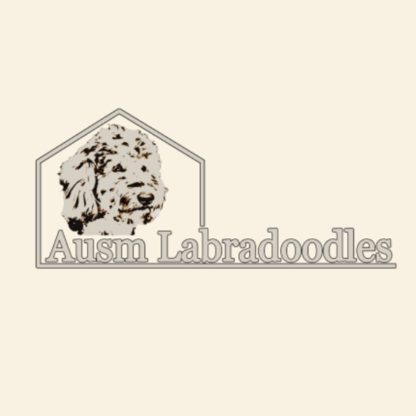 Ausm Labradoodles Logo