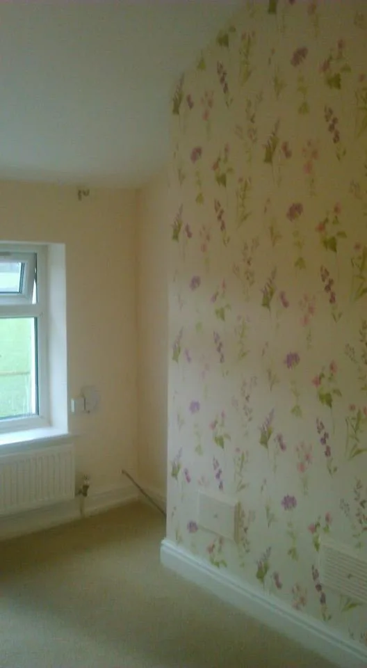 Images Simon Scrimshaw Painting & Decorating