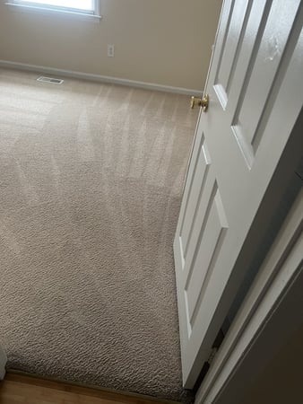 Images Best Carpet Cleaning