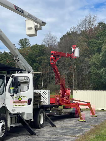 Images Charron Tree Service