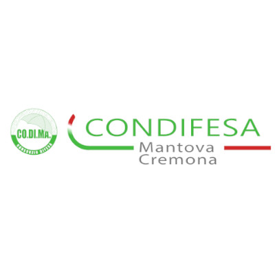 Codima Logo