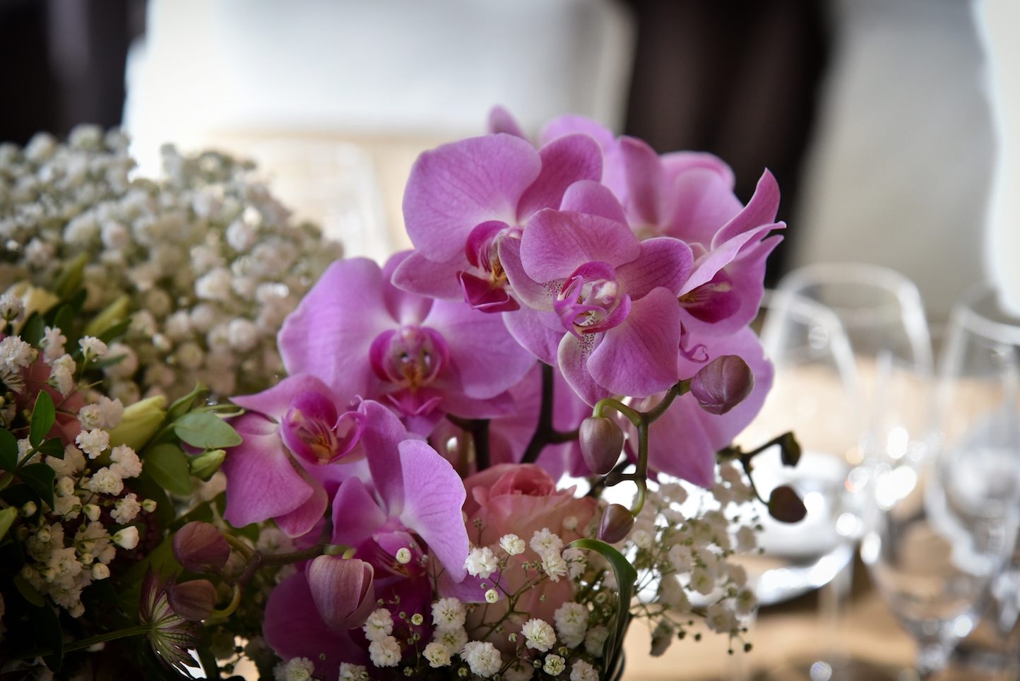 Images Bancells Floristes
