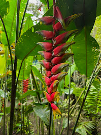 Images Voyage Crafter, A Cruise Planners Franchise