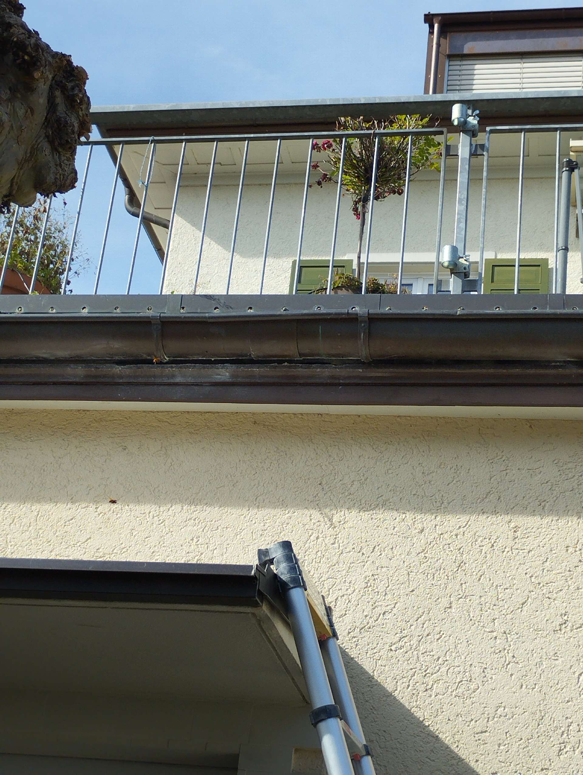 Galerie-Thumbnail