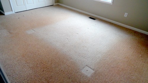 hardwood floor cleaners greenville sc  | 335 x 250