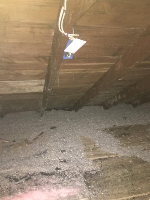 Affected insulation in this attic space. Our team will get it back to its pre-loss condition in no time.