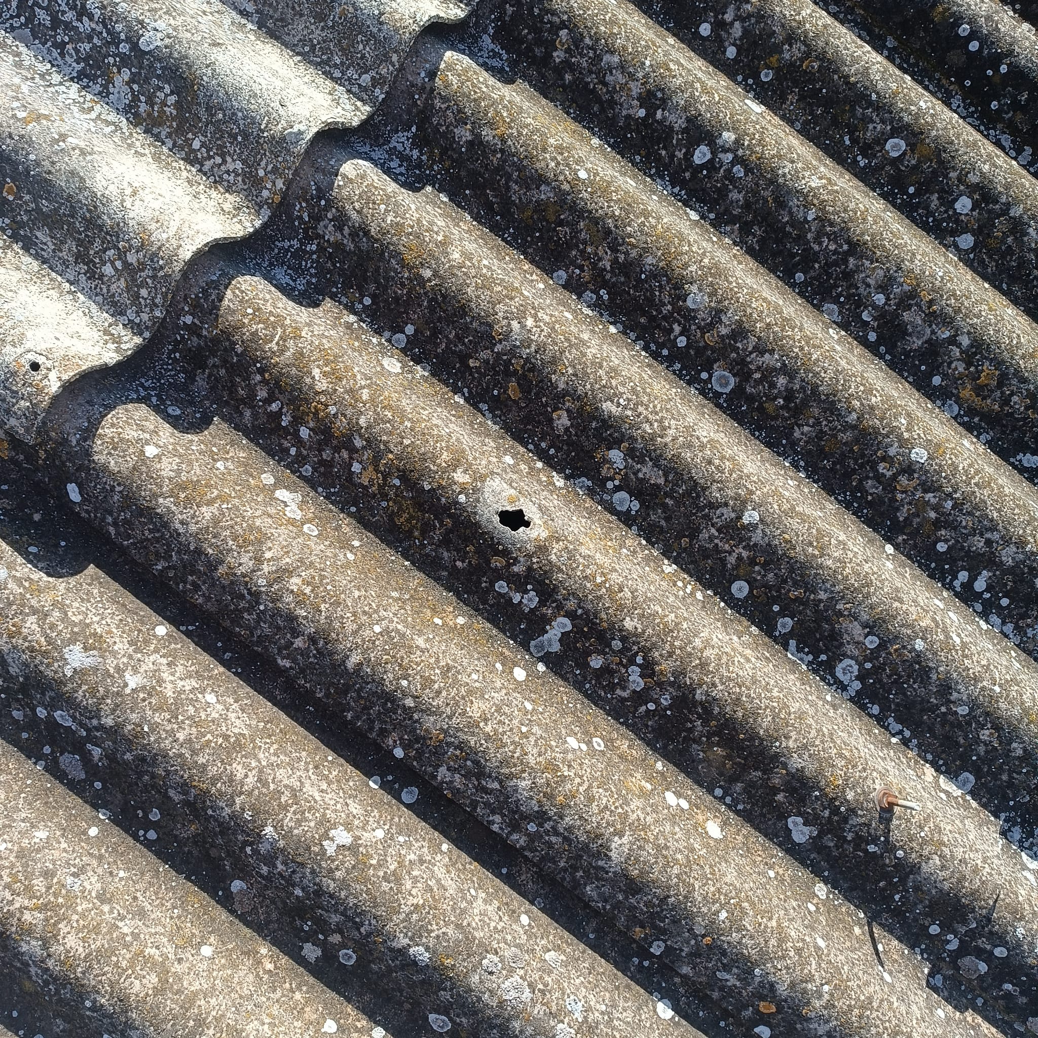 Images Tejados Navarra