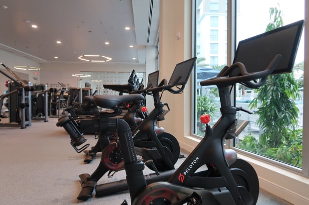 Images The Marc Apartments