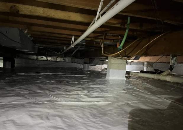 Images Midwest Mold Specialist LLC