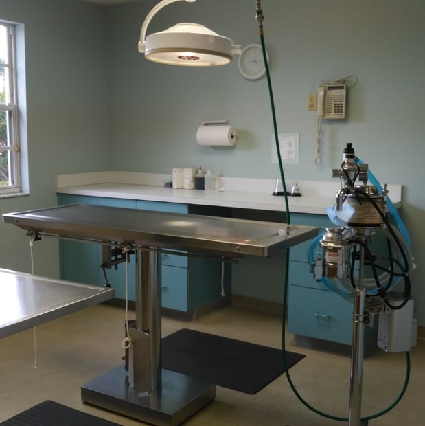 Images North Collier Animal Clinic