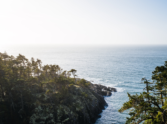 A large river that blends into the skyline, with trees and rocks in the foreground.