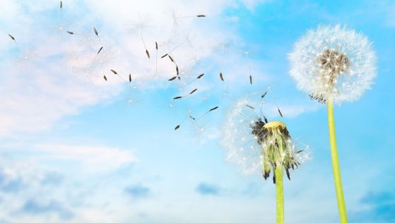 HB Gartenschutzanlagen, Oberhofstrasse 8 in Hinwil