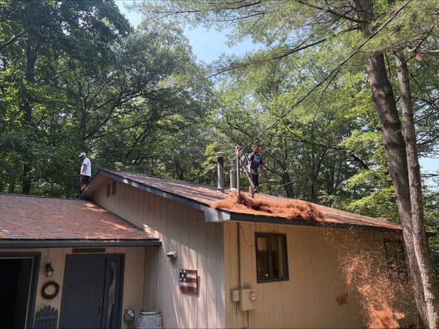 Images The Roof Cleaner