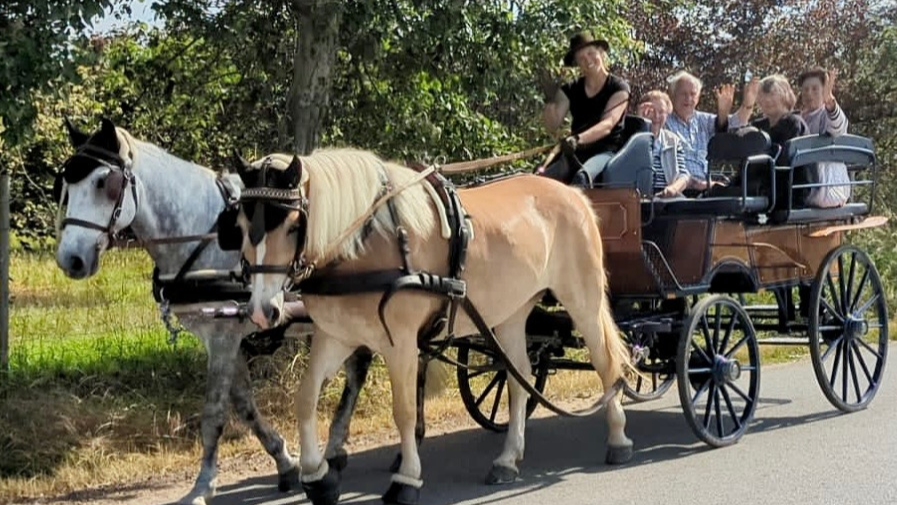 KH-Kutschfahrten und Pferdezeit, Kantstraße 29 in Steinheim