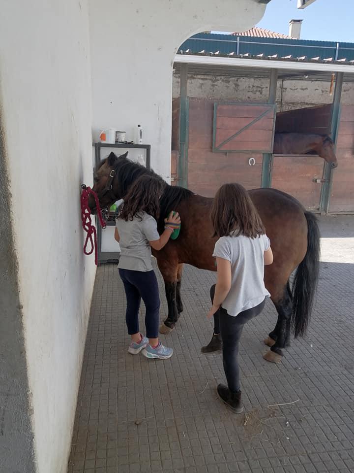 Images Academia Equestre Quinta da Pateira