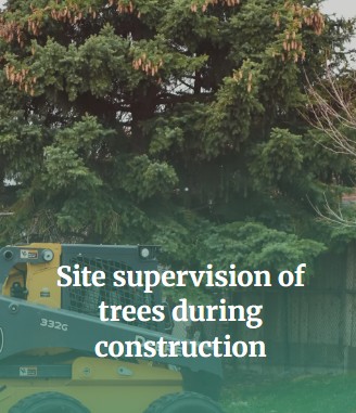 Advanced Tree and Environmental Consultancy 4