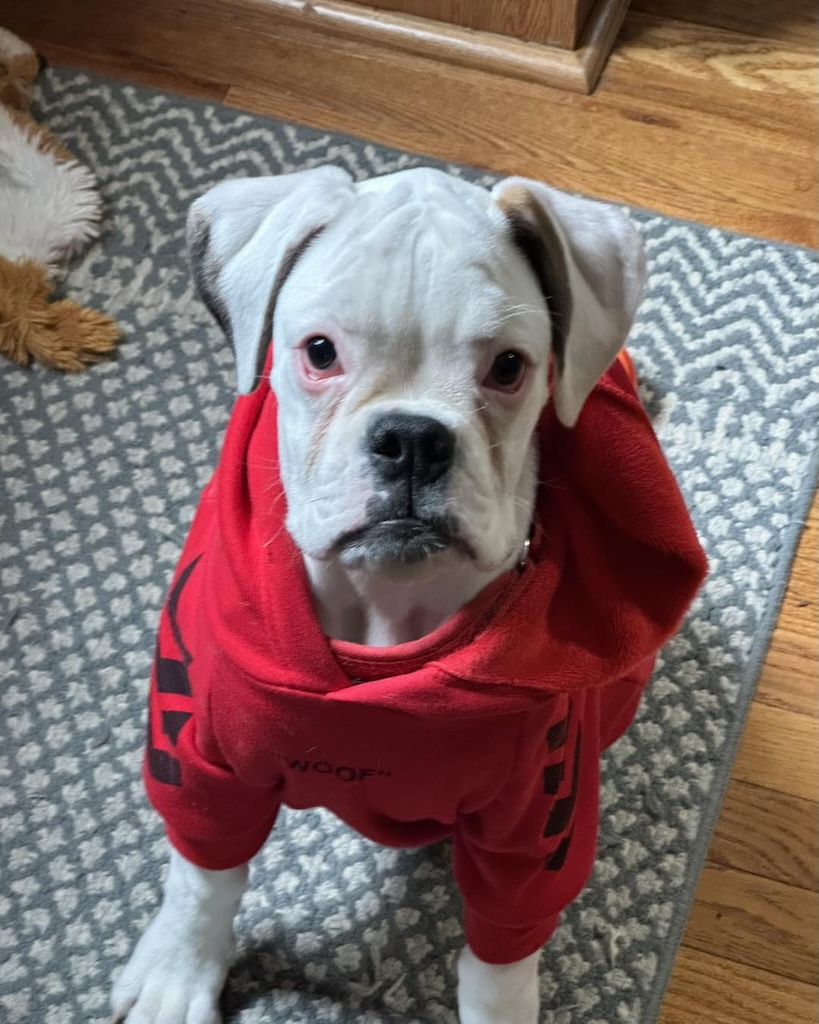 Jerry Farnum - State Farm Insurance Agent Image