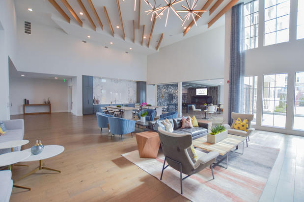 Images The Ivy at Ariston