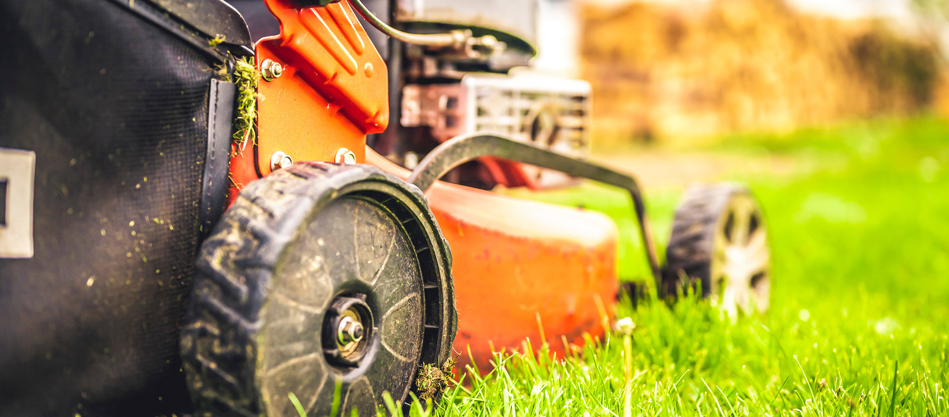 Bild 3 Jahn Gebäudemanagement GmbH in Zeulenroda-Triebes