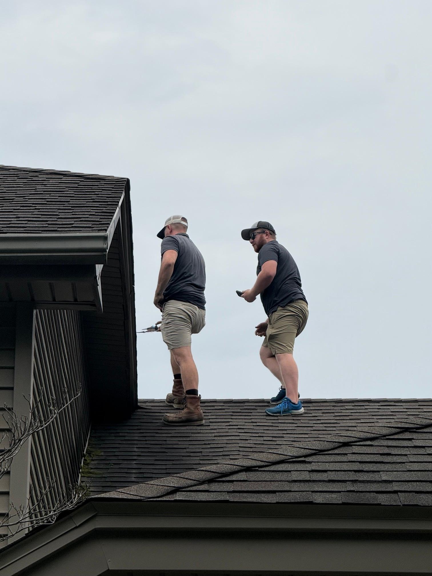 Two home inspectors walking across an asphalt shingle roof to check the roof condition.