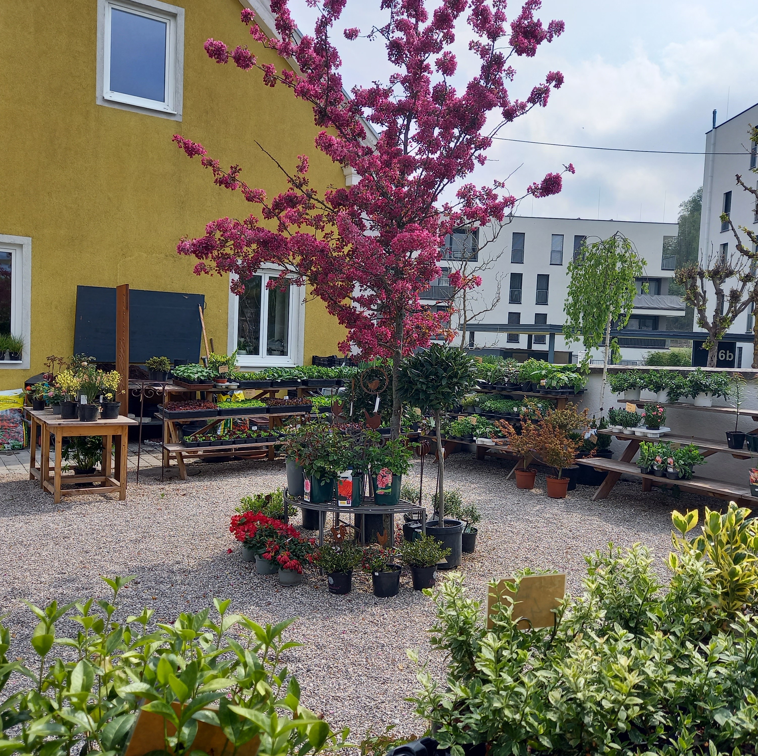 Bild 9 von Grün-Zone