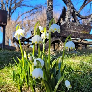 Instagram feed 4