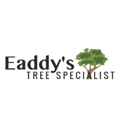 Eaddy's Tree Specialist LLC