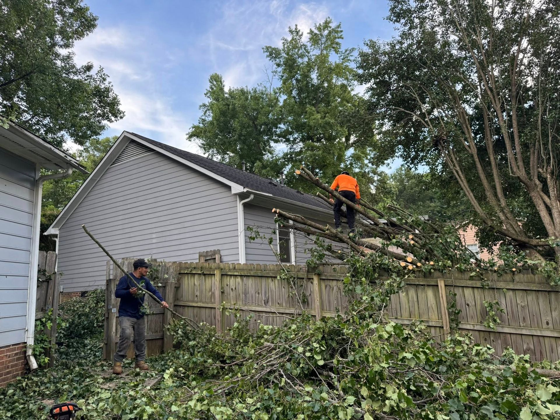 Triple A Tree Service Image