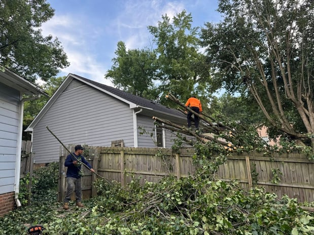 Images Triple A Tree Service