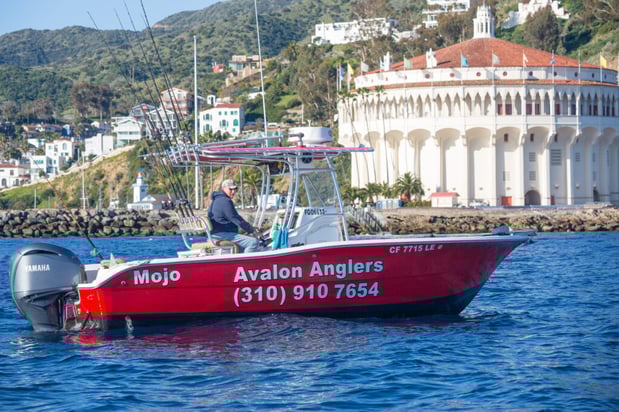 Images Avalon Anglers