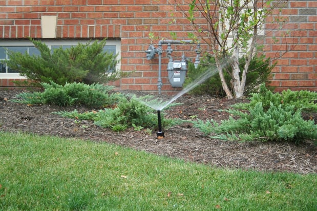 Images Wet Scape Lawn Sprinklers - Sprinkler System Installation & Repair