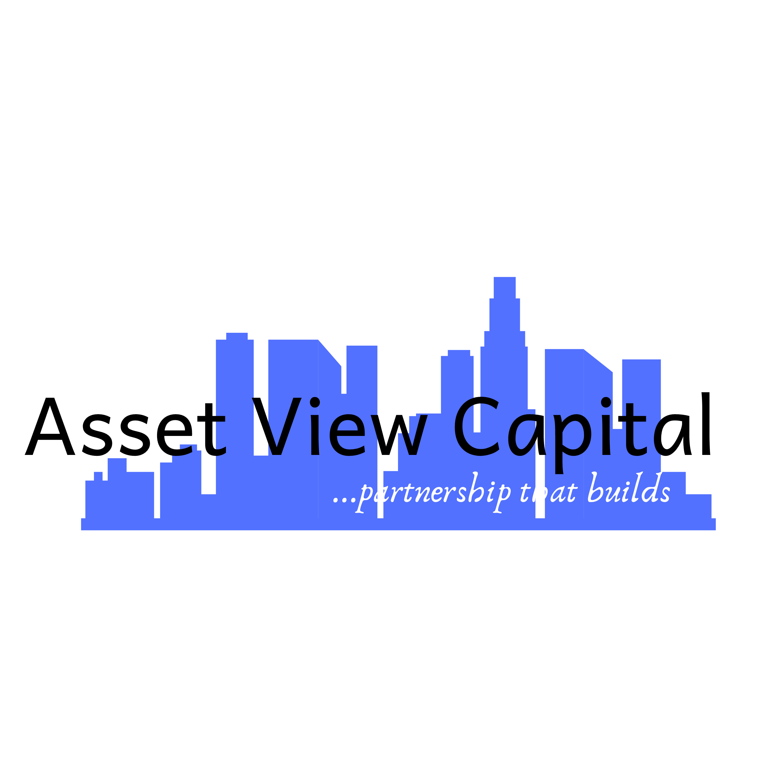 ASSET VIEW CAPITAL Logo