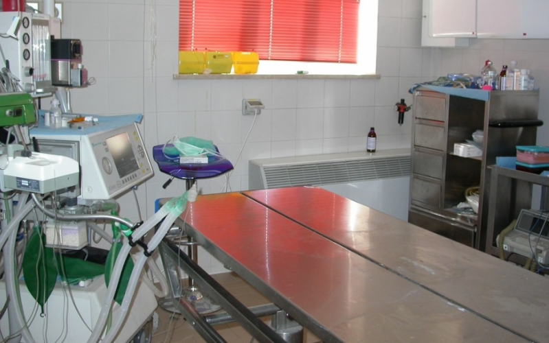 Images Clinica Veterinaria Dott. Oreste Gaetti  Pronto Soccorso Veterinario