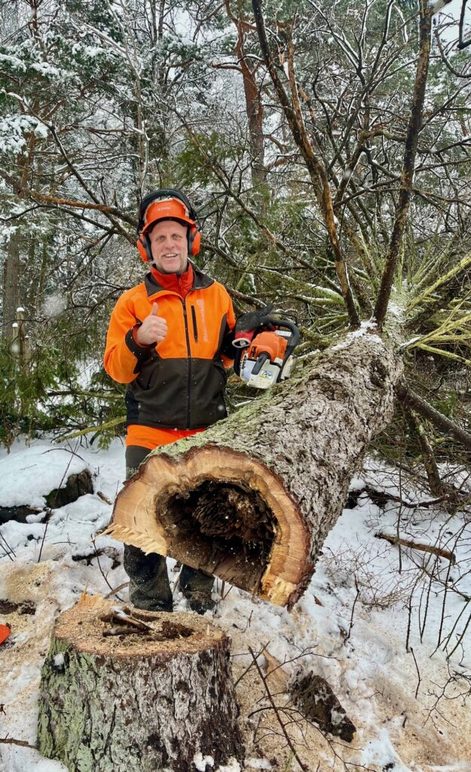 Images Trosa Trädfällning AB