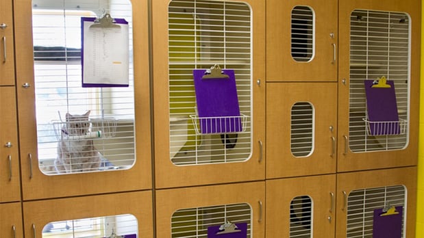 Images VCA Cherokee Animal Hospital