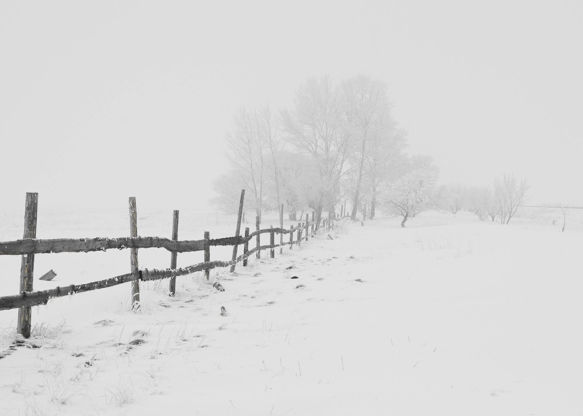 Avalanche Snow Removal