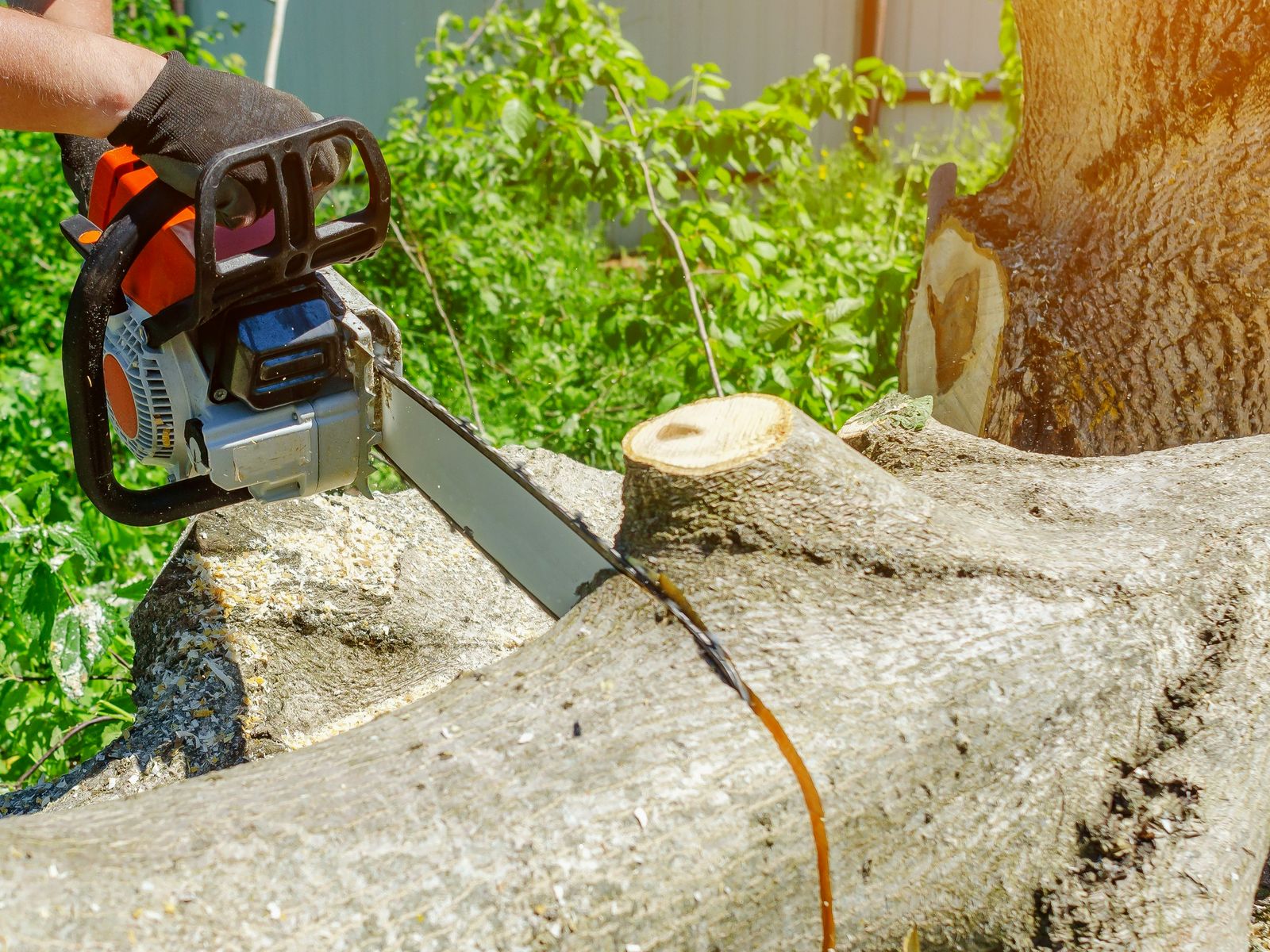 GreenLeaf Tree Care