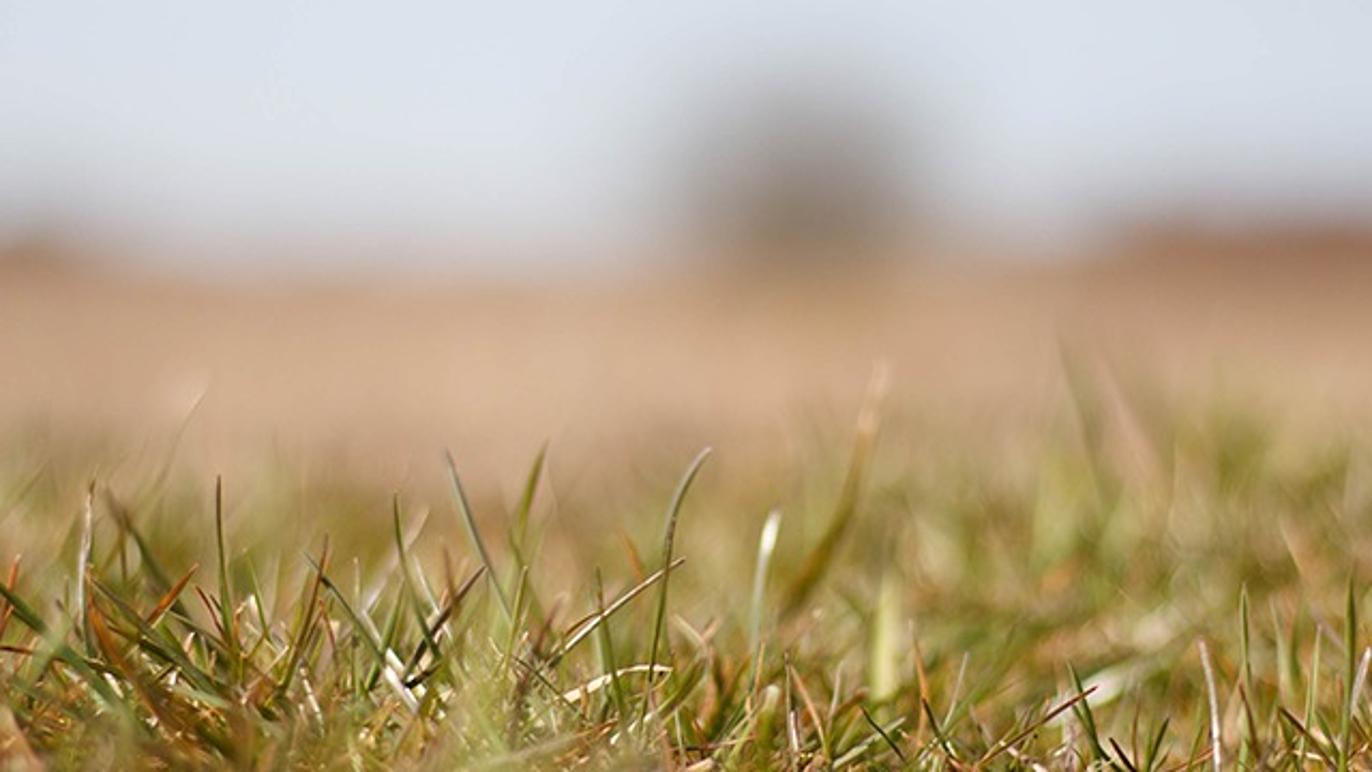 Images Terapi I Øjenhøjde