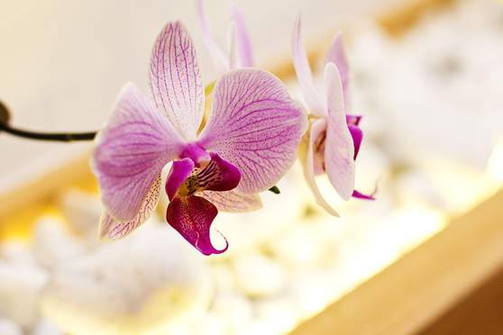 Gesundkrieger, Albert-Einstein-Str. 1 in Würzburg