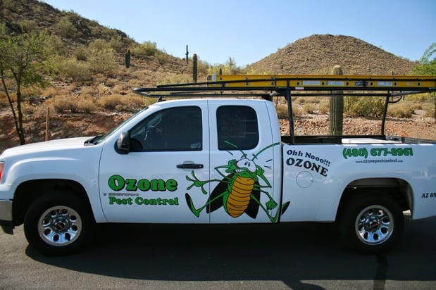 Images Ozone Pest Control