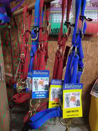 Images Holt's Feed Store