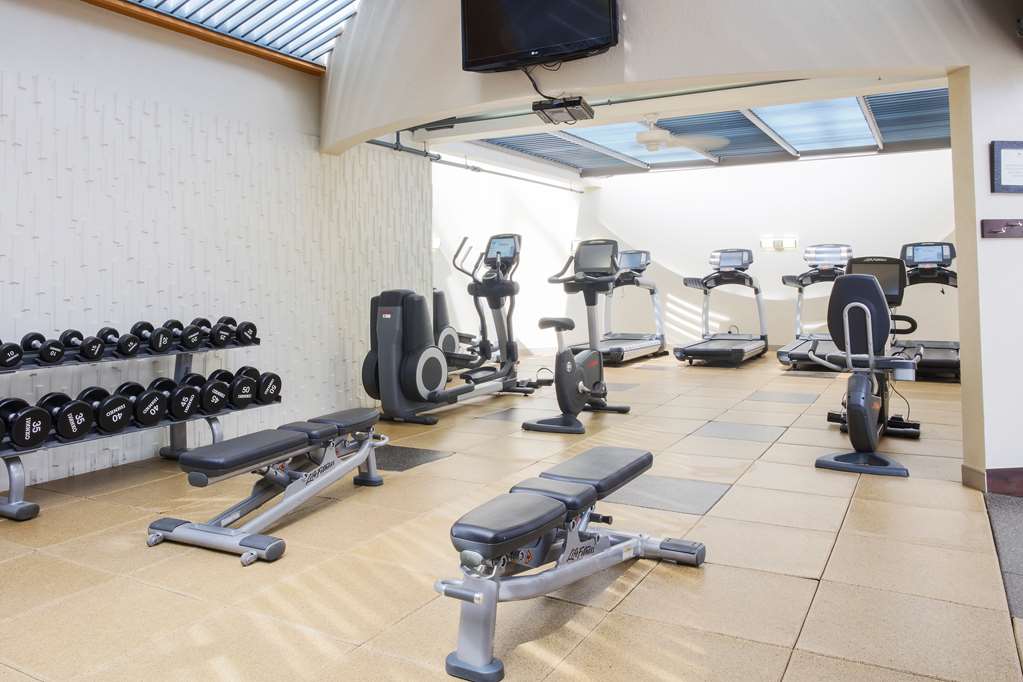 Health club  fitness center  gym DoubleTree by Hilton Hotel Rochester Rochester (585)475-1510