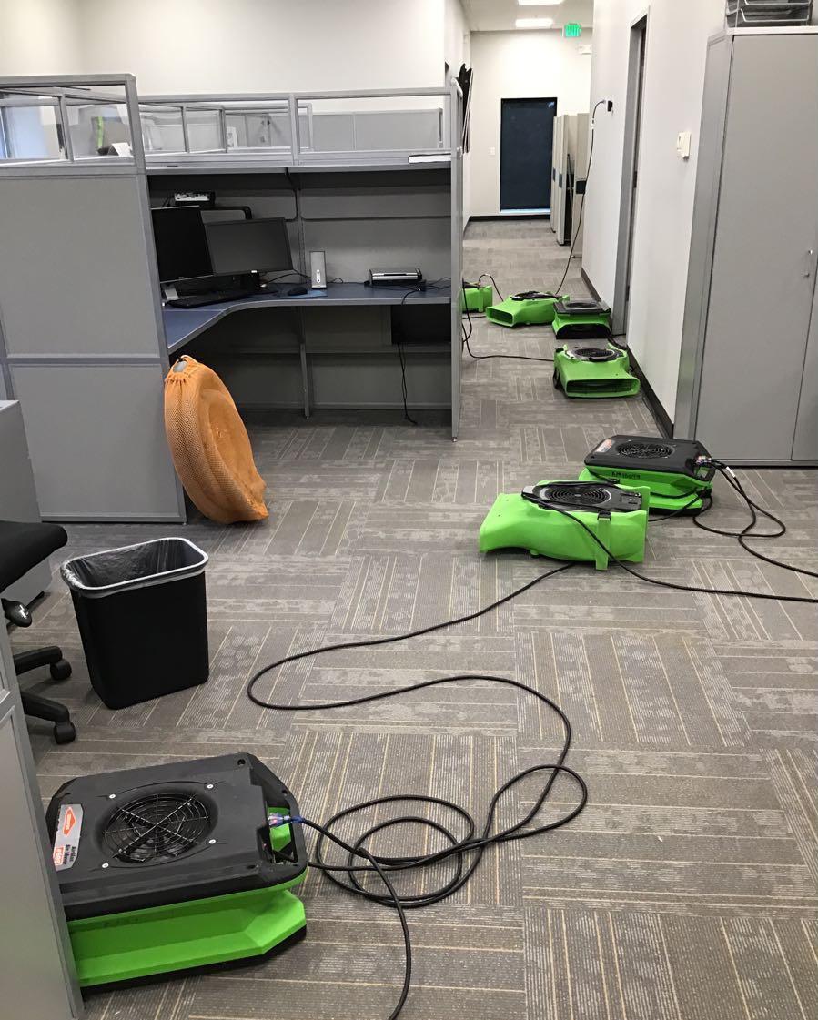 After a water loss, SERVPRO of Firestone /Platteville is the best company to call. Our IICRC-certified technicians can address any size or type of loss in the Johnstown, CO area.  We invite you to contact us at any time if you have any questions.