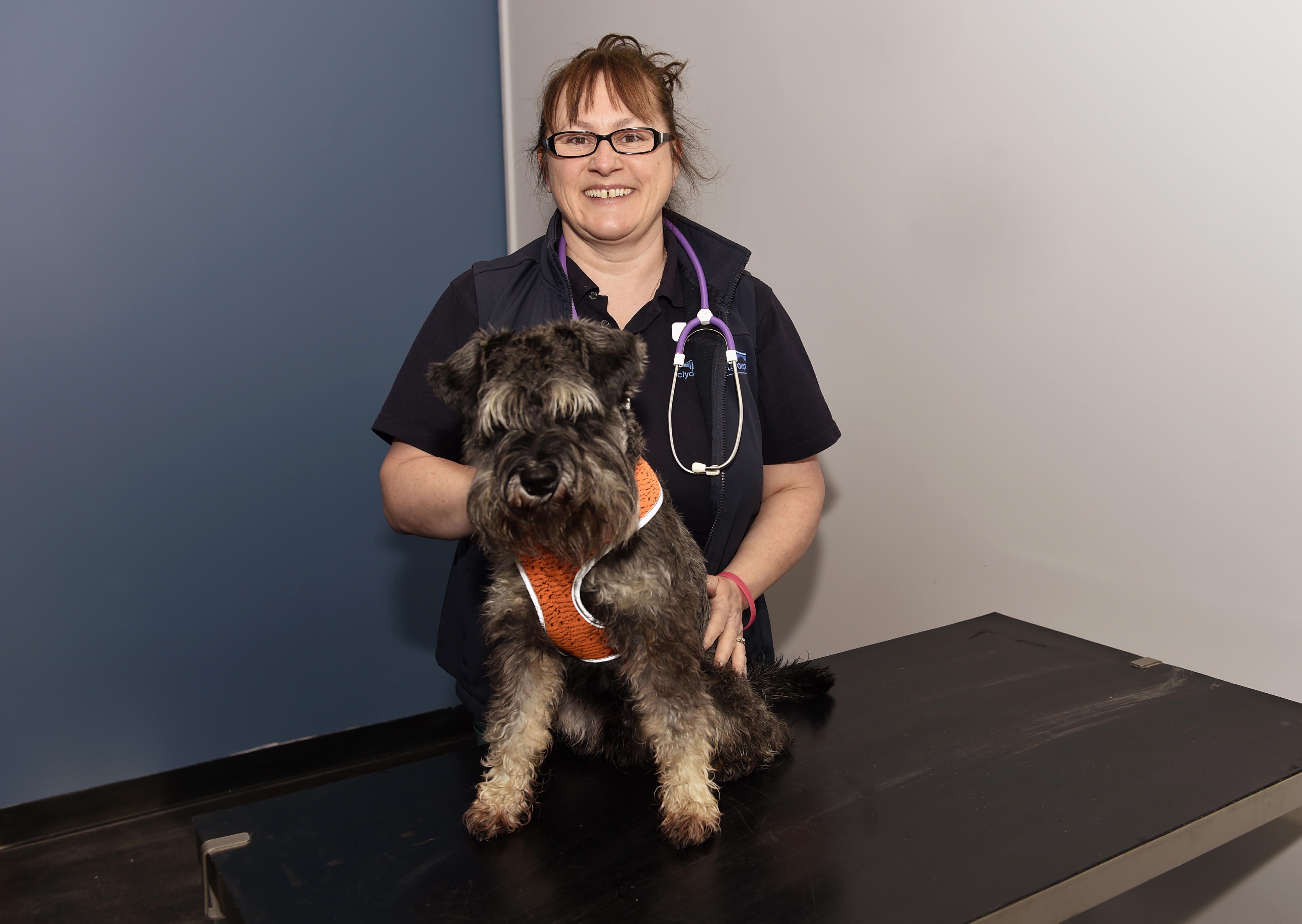 Images Clyde Veterinary Group, Lesmahagow