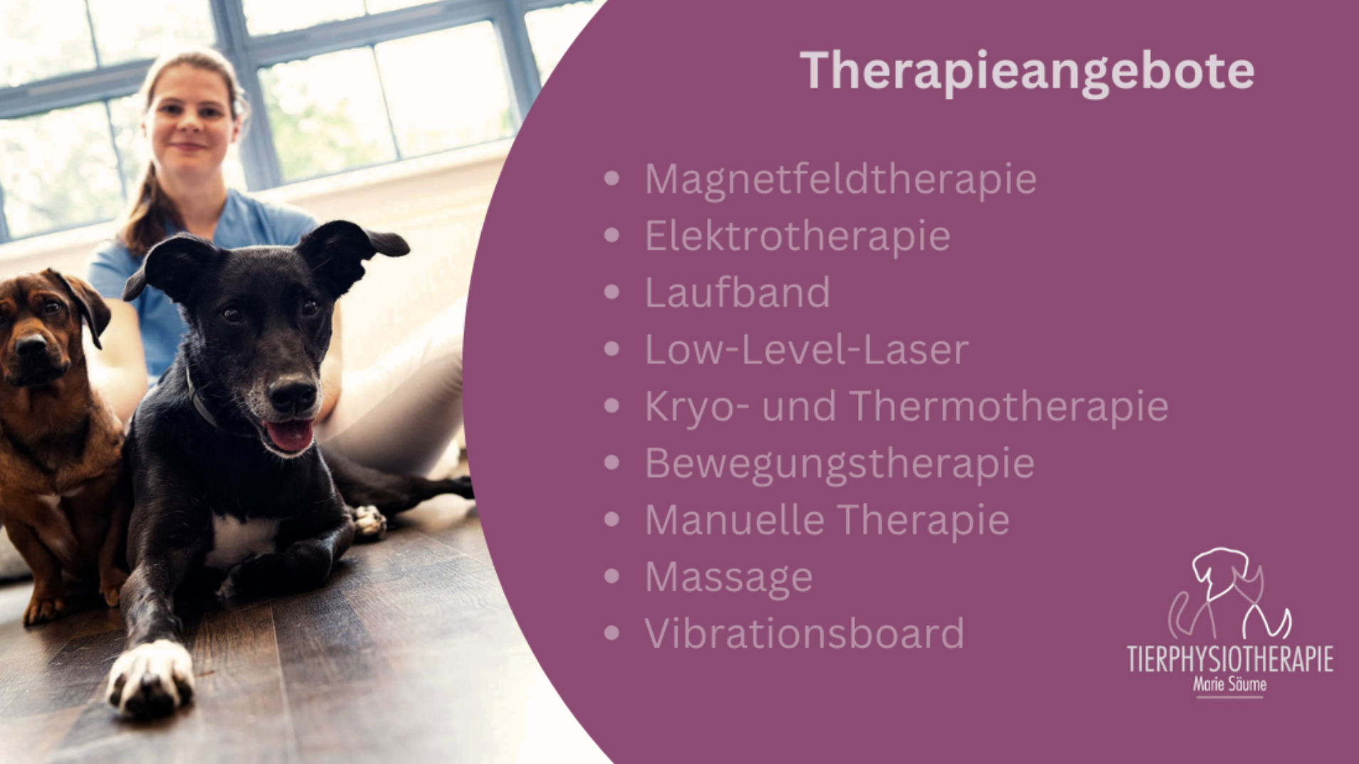 Tierphysiotherapie Marie Säume, Glashütter Straße 101 in Dresden