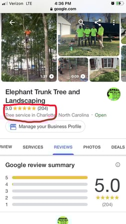 Images Elephant Trunk Tree and Landscaping